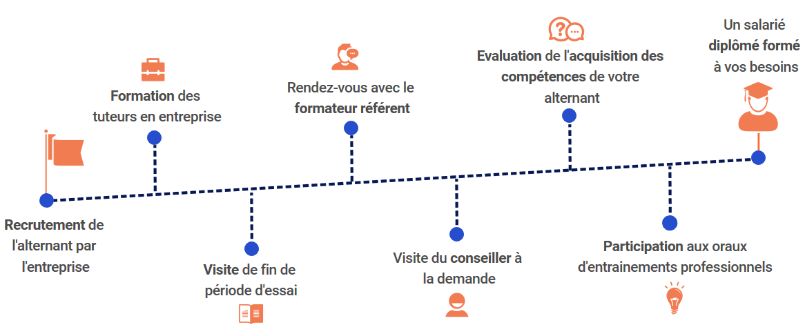 timeline role du tuteur