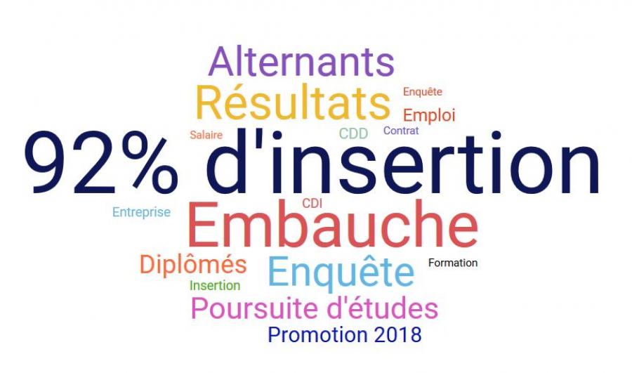 Résultats de l'enquête d'insertion de la promotion 2018