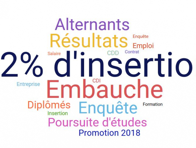 Résultats de l'enquête d'insertion de la promotion 2018