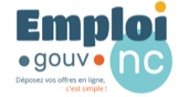 emploi gouv nc